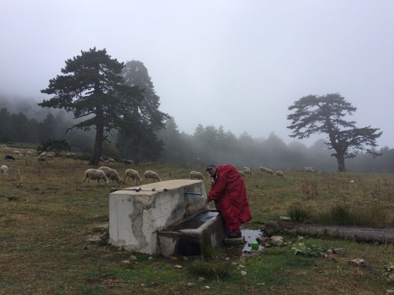 karakecili yorukleri