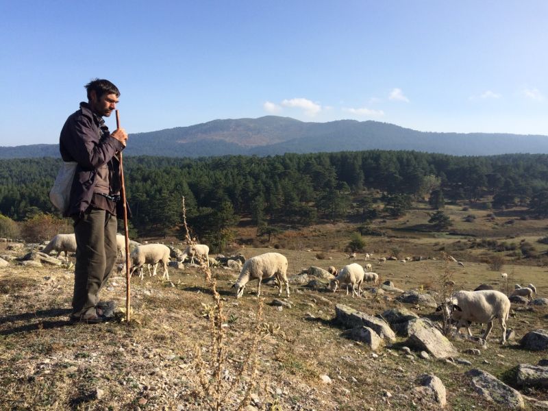 karakecili yorukleri