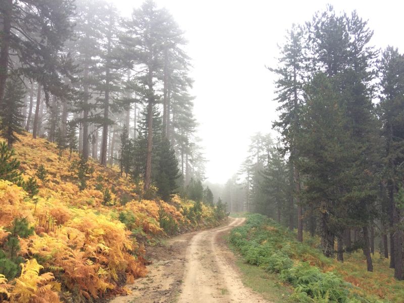 karakecili yorukleri