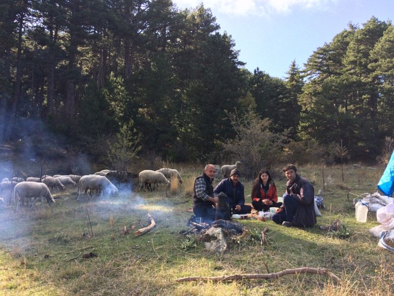 karakecili yorukleri