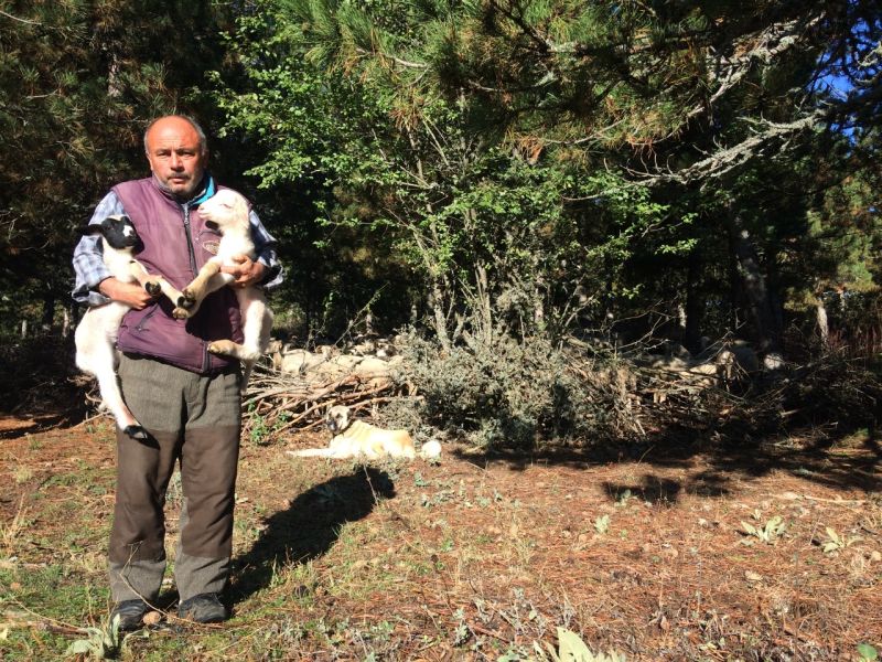 karakecili yorukleri