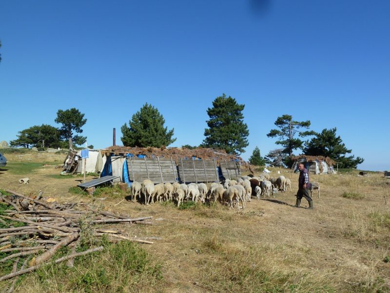 karakecili yorukleri