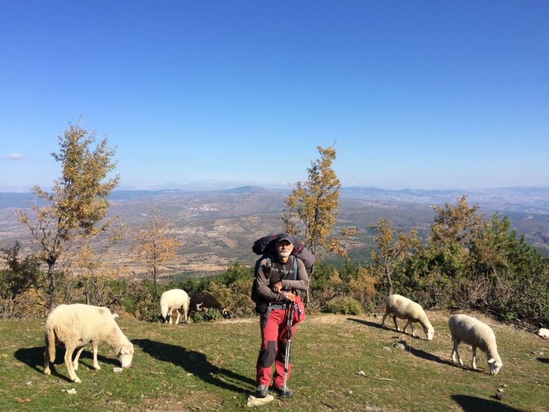 karakecili yorukleri