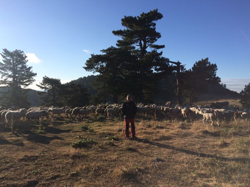 karakecili yorukleri