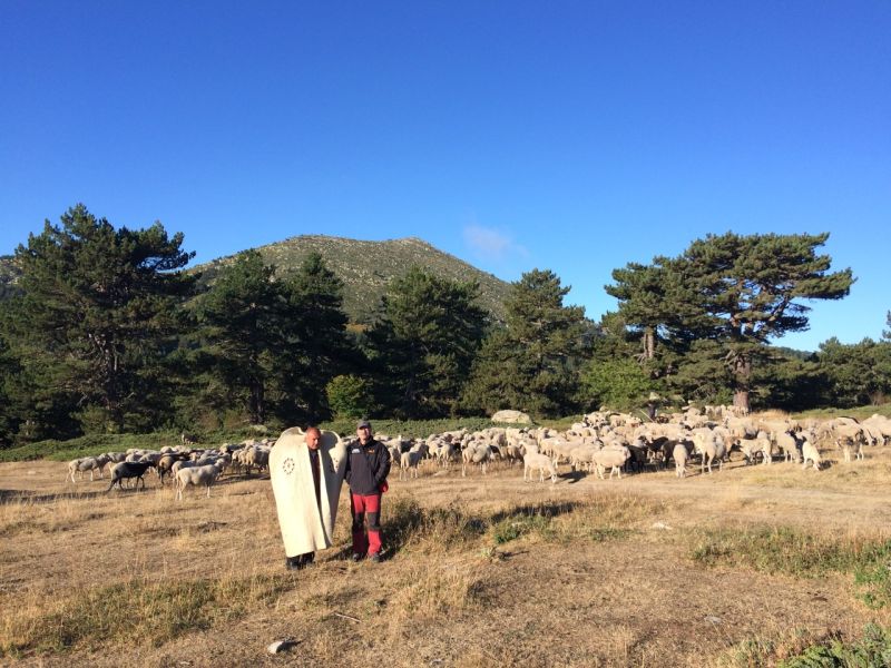 karakecili yorukleri