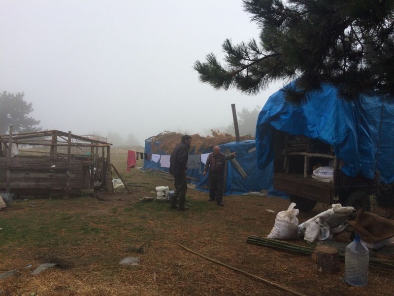 karakecili yorukleri