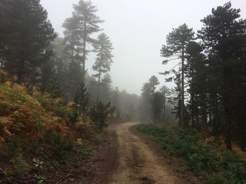 karakecili yorukleri