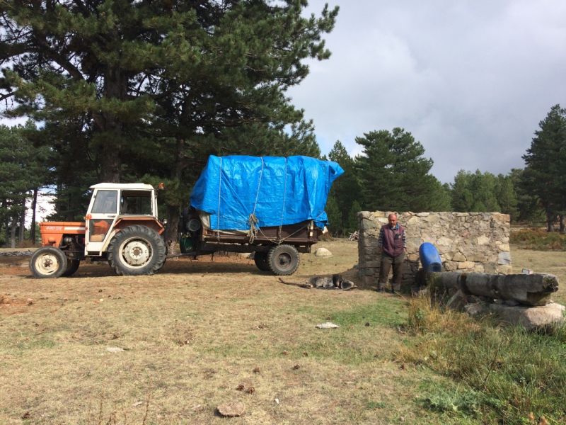 karakecili yorukleri