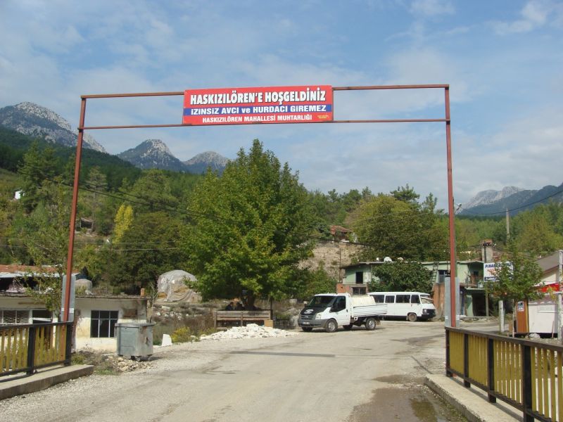 karakoyunlu