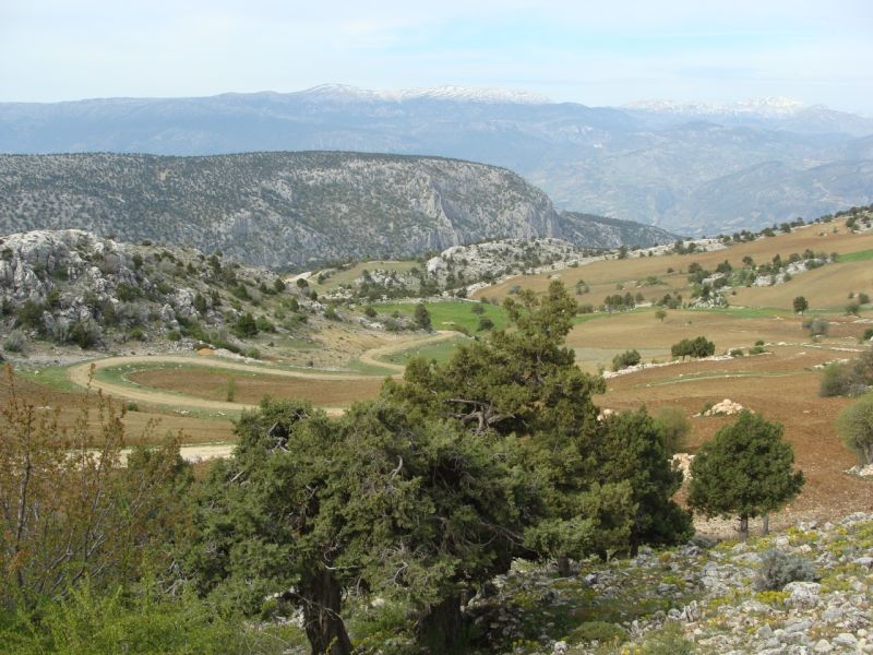 sarikecili yorukleri