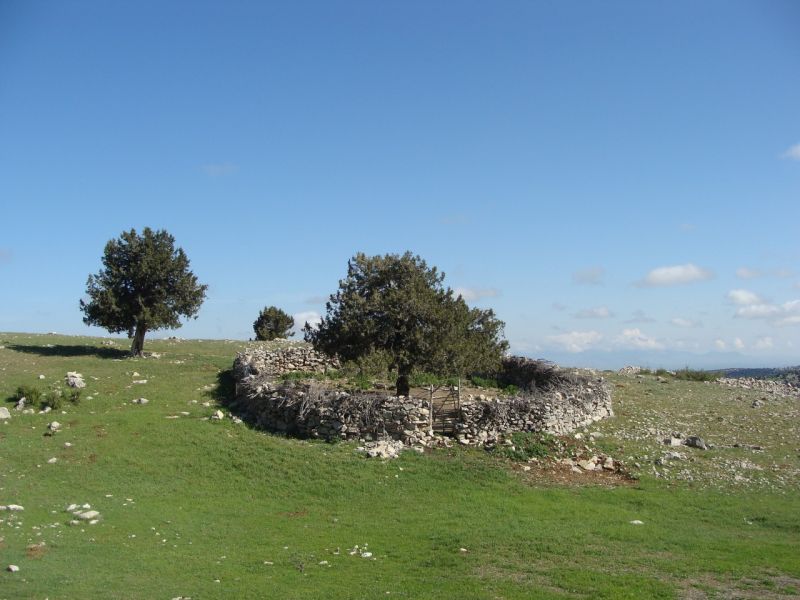 sarikecili yorukleri
