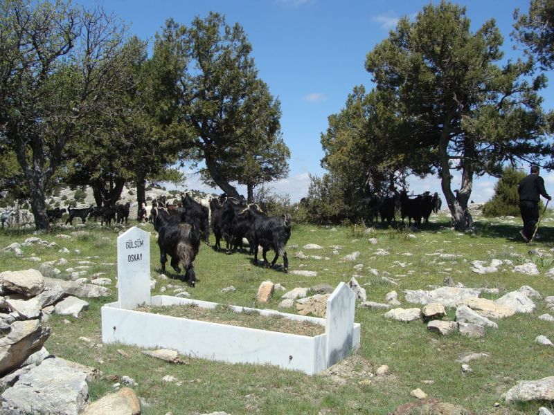 sarikecili yorukleri