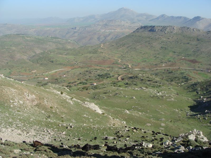 sarikecili yorukleri