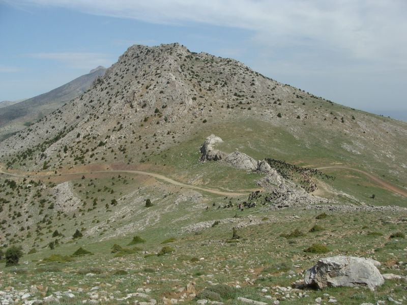 sarikecili yorukleri