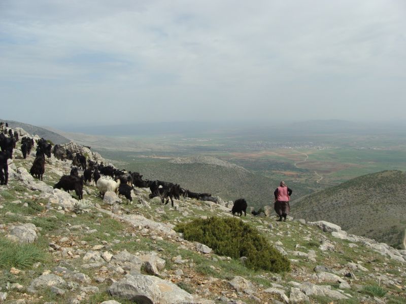 sarikecili yorukleri