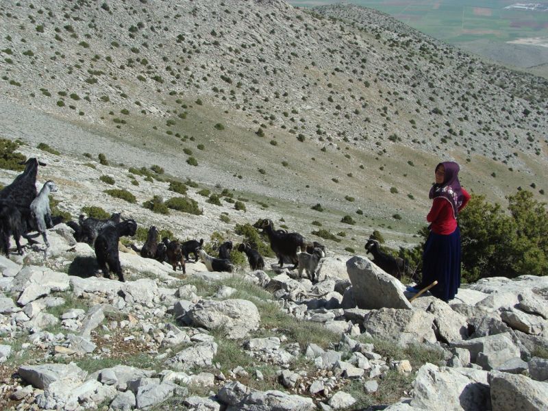 sarikecili yorukleri