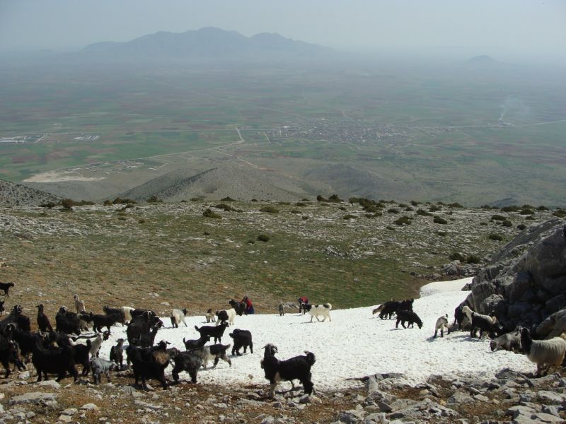 sarikecili yorukleri