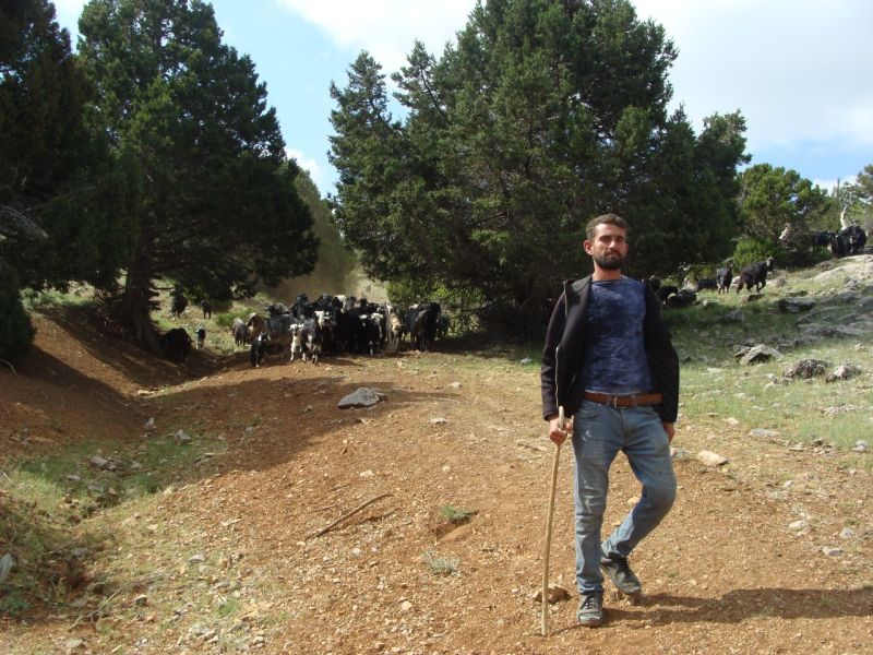 sarikecili yorukleri