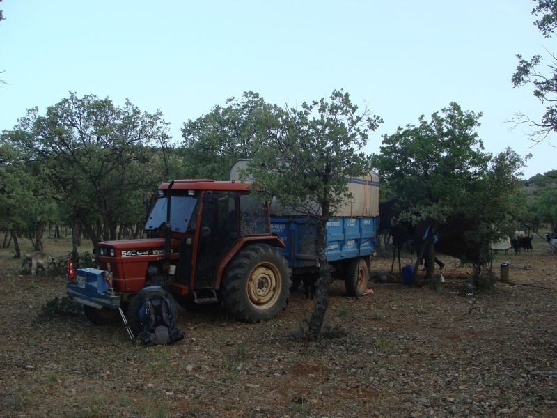 sarikecili yorukleri