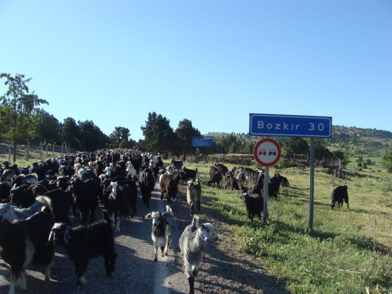 sarikecili yorukleri