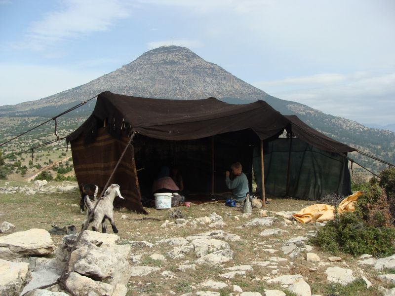 sarikecili yorukleri