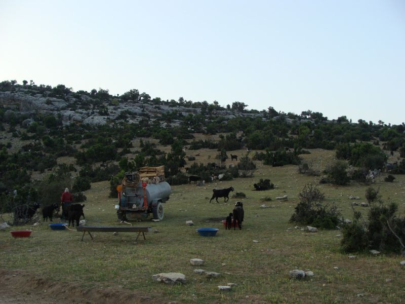 sarikecili yorukleri