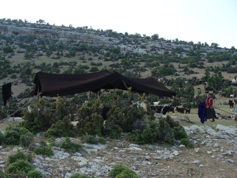 sarikecili yorukleri