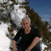 Ali ERGÜL