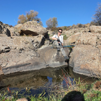 Fevziye Figen TÜRKER